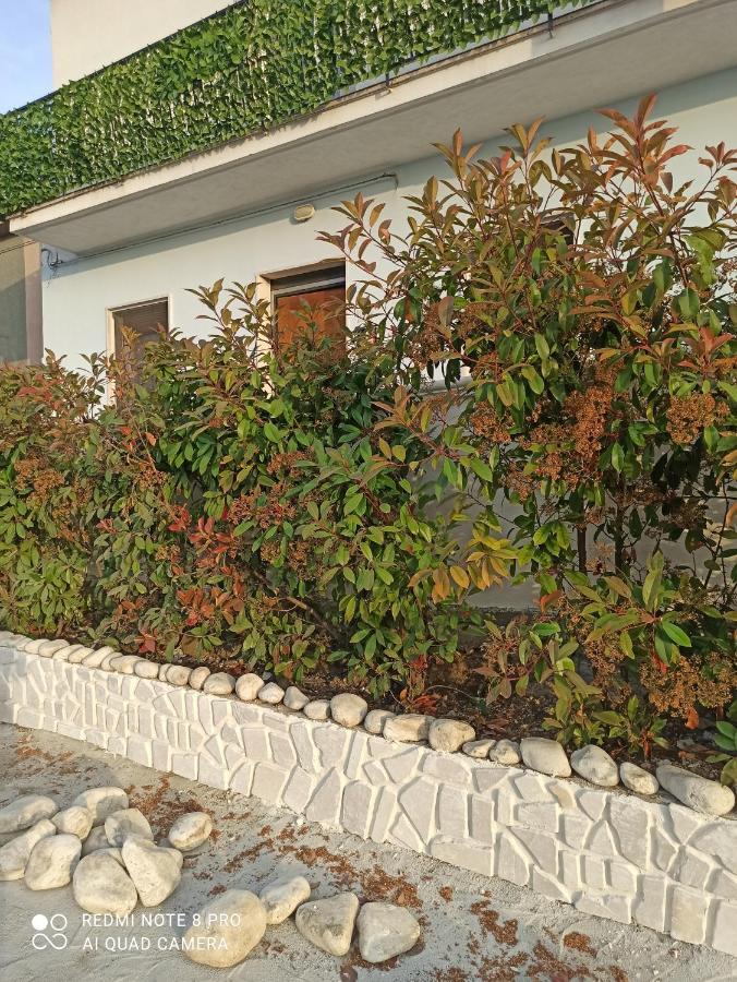 Villa Rosa Dei Venti House à Campomarino  Extérieur photo